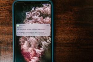 what does mean in text